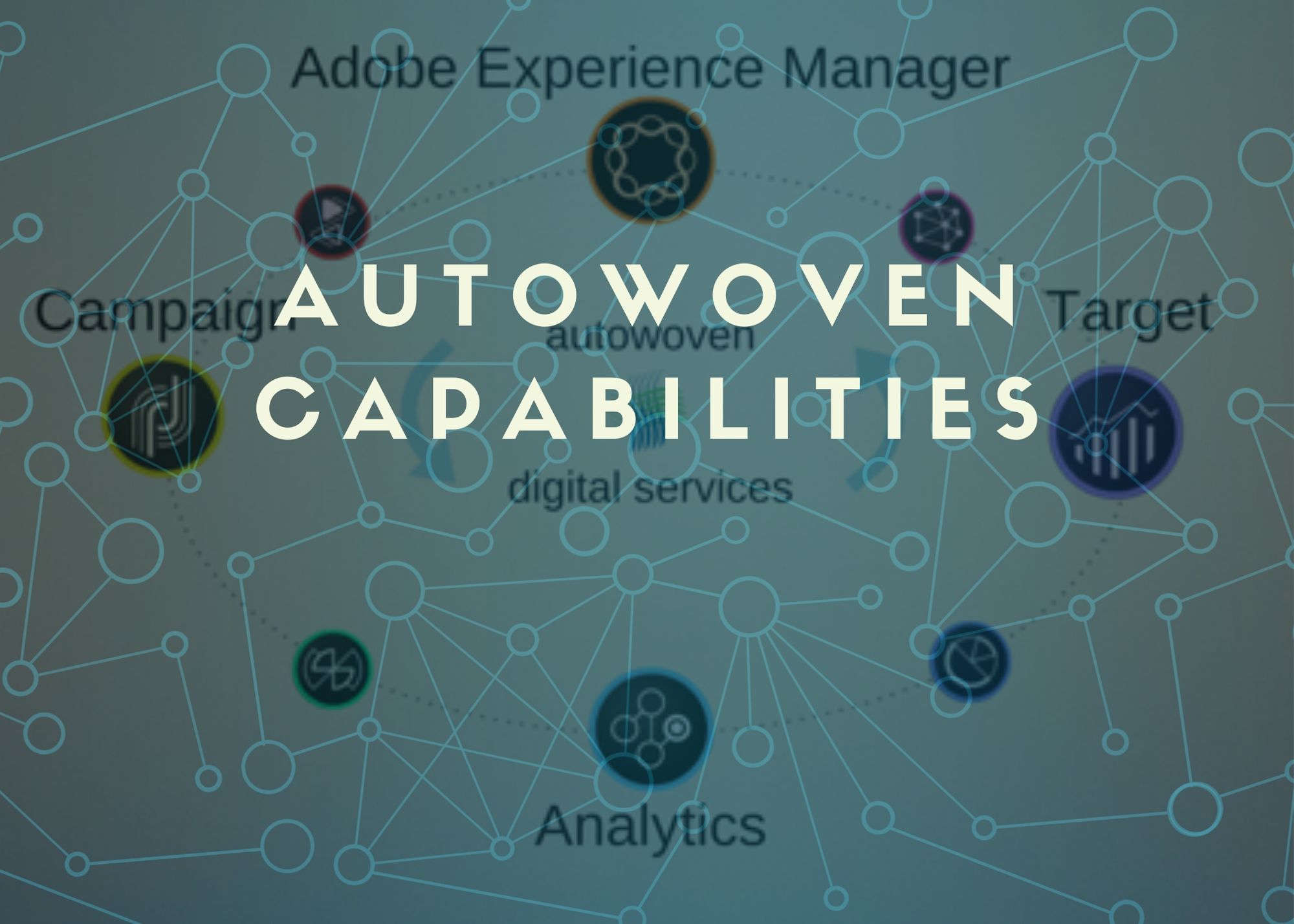 Autowoven Capabilities